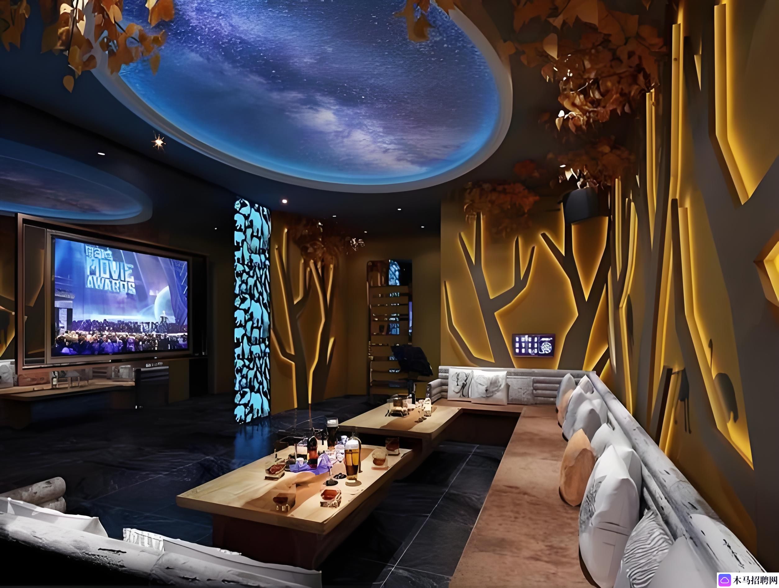 探秘国际庄大型夜总会：奢华与服务的双重盛宴